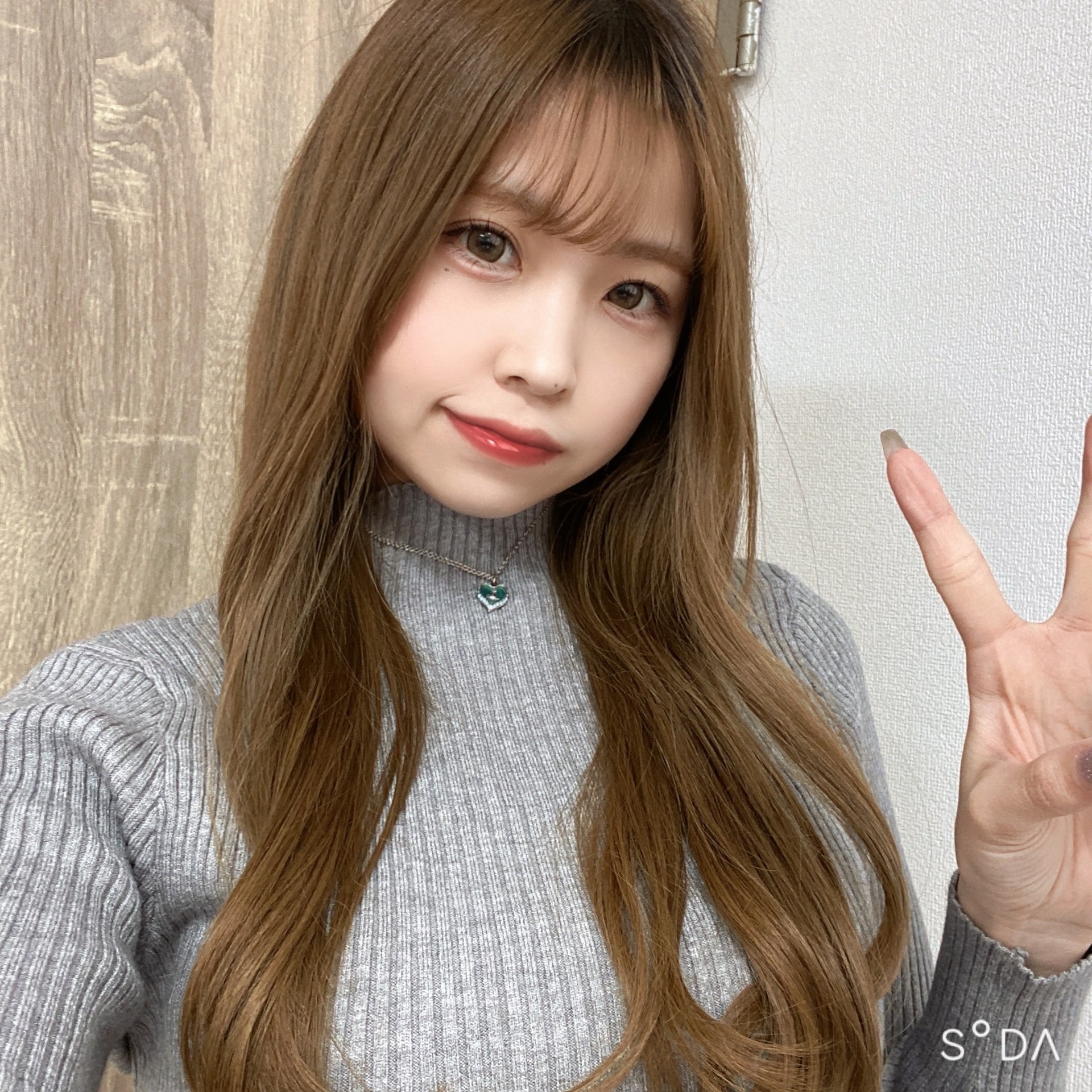 コンパニオン ファストファイン マナ 