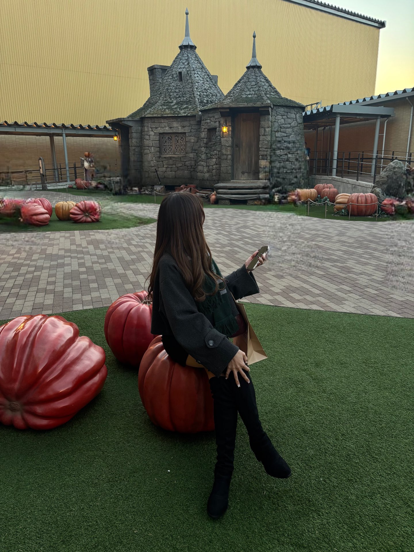 コンパニオン ファストファイン マナ ����